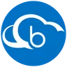Bind ERP logo